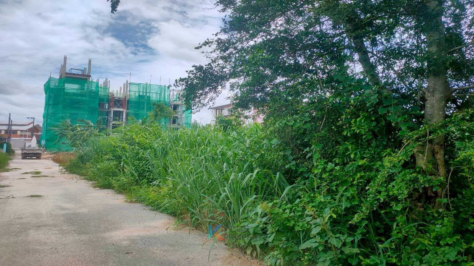 card-hightlight-image